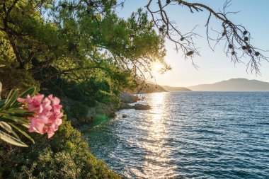 Sakin, berrak deniz suyu Akdeniz 'in güneşli yolu ve kayalık sahillerin yeşilliği.