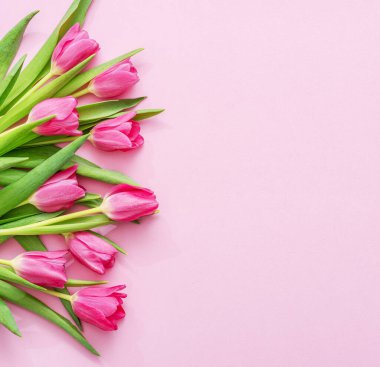 Açık pembe arka planda bahar pembe laleleri. Üst görünüm.