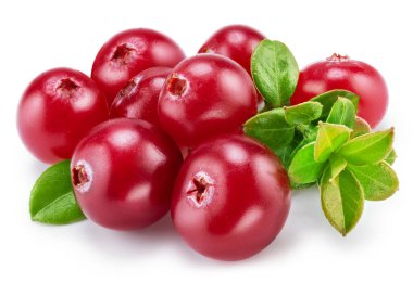 Beyaz arka planda yeşil yapraklı yabanmersini. Dosya kırpma yolu içeriyor.