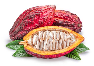 Kakao meyveleri, kakao kabukları ve beyaz arka planda izole edilmiş yeşil yapraklar. Kesme yolu.