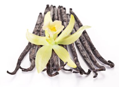 Vanilya çiçeği ve fasulye ya da beyaz arka planda izole edilmiş vanilya çubukları.
