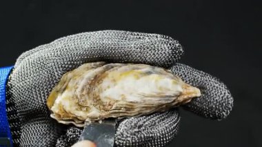 Çiğ istiridye işlemini başlatan adam, siyah arka planda özel bir eldivenle istiridye açıyor. Kapat..