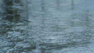 Su birikintilerine düşen yağmur damlaları yüzeyde dalgalanmalar yaratır. Ağır çekim. Orta boy. Muson mevsimsel desen.