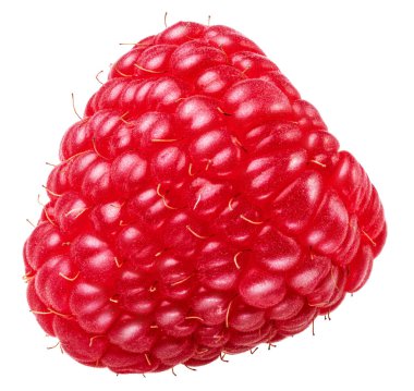 Beyaz üzerine taze kırmızı ahududu. Kırpma yolu ile yüksek çözünürlüklü resim.