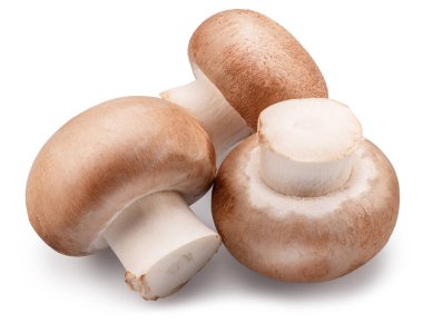 Beyaz arka planda üç kahverengi şampiyon mantarı. Dosya kırpma yolu içeriyor.