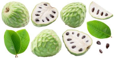 Beyaz arka planda izole edilmiş Cherimoya ya da muhallebi elması ve bir dilim meyve. Kesme yolu