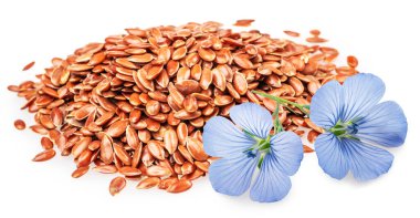 Mavi narin keten çiçeği beyaz arka planda izole edilmiş keten tohumu yığınının üzerinde yatıyor. Dosya kırpma yolu içeriyor.