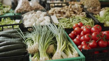 Çiftçi pazarında taze organik sebzeler ve meyveler, market masaları boyunca yavaş kamera hareketleri..