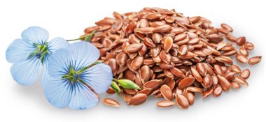 Mavi narin keten çiçeği beyaz arka planda izole edilmiş keten tohumu yığınının üzerinde yatıyor. Dosya kırpma yolları içeriyor.