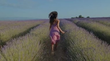 Kırsal bölgelerdeki hoş kokulu lavanta çalılarının arasında dolaşan pembe elbiseli bir kız. Yaz yaşam tarzı özgürlük ve güzellik.