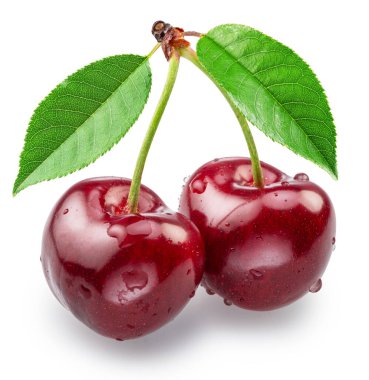 Beyaz arka planda su damlalarıyla kaplı yeşil yapraklı tatlı kirazlar. Dosya kırpma yolları içeriyor.