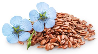 Mavi narin keten çiçeği beyaz arka planda izole edilmiş keten tohumu yığınının üzerinde yatıyor. Dosya kırpma yolları içeriyor.