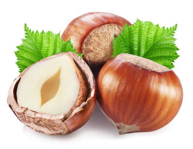 Fındık ya da fındık, fındık çekirdeği ve beyaz arka planda yeşil yapraklar. Kesme yolu.