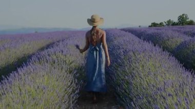 Yazlık elbiseli ve hasır şapkalı bir kız kırsal alanda kokulu lavanta çalılarının arasında yürüyor. Sağlık, seyahat ve cilt bakımı için mükemmel bir manzara.