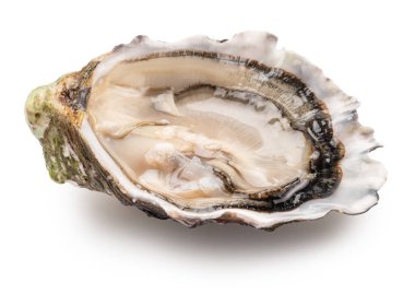 Açılmış çiğ istiridye, beyaz arka planda izole edilmiş, kırpma yolu. Lezzetli yemek..