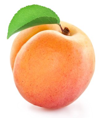 Beyaz arka planda yeşil yapraklı olgun kayısı. Dosya kırpma yolu içeriyor.