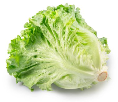 Beyaz arka planda Batavia marulunun dalgalı yaprakları. Dosya kırpma yolu içeriyor.