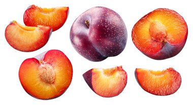 Beyaz arka planda izole edilmiş olgun Çin eriği ve erik dilimleri koleksiyonu. Dosya kırpma yolları içeriyor.