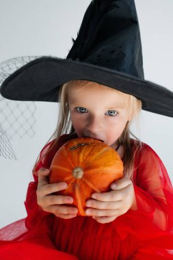 Sivri uçlu şapkalı küçük bir cadı balkabağı tutuyor. Cadılar Bayramı kostümlü bir çocuk mutlu bir şekilde gülümsüyor. Çocuk tatili. beyaz izole arkaplan.