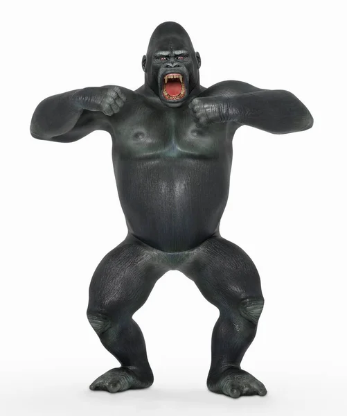 Angry Gorilla White Background — Stock Photo, Image