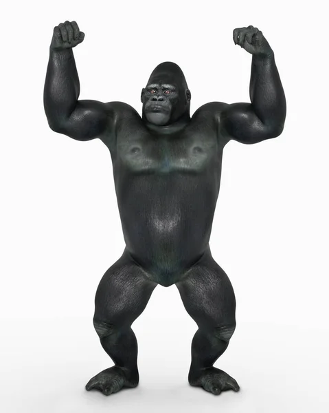 Rozzlobený Gorila Bílém Pozadí — Stock fotografie
