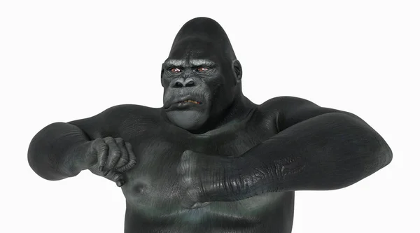 Upper Body Gorilla Isolated White Background — Stock Photo, Image