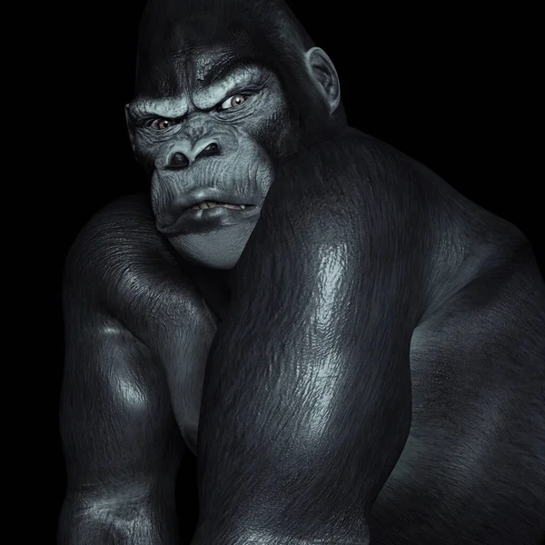 Gorilla against a black background