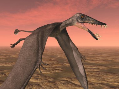 Pterosaur Dorygnathus bir arazide uçuyor.