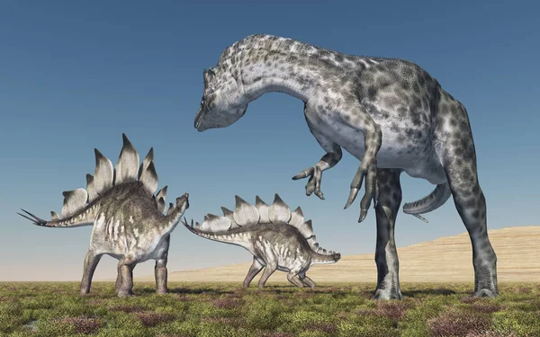 恐竜アロサウルスが恐竜のステゴサウルスを攻撃 — ストック写真