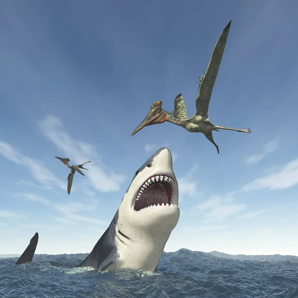 Weißer Hai Attackiert Flugsaurier Pterodactylus — Stockfoto