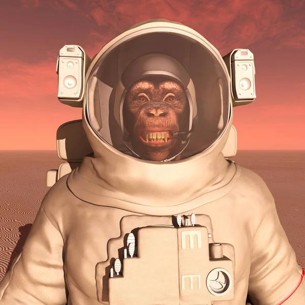 穿着太空服的黑猩猩在火星上 — 图库照片