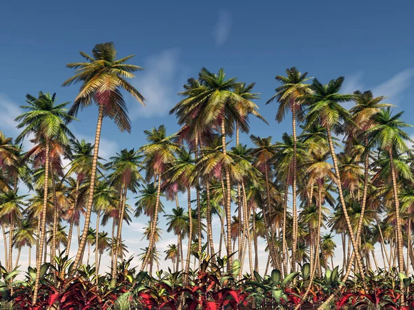 Palmenwald Vor Blauem Himmel — Stockfoto