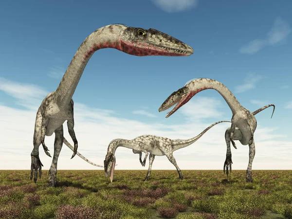 Dinosaurus Coelophysis Krajině — Stock fotografie