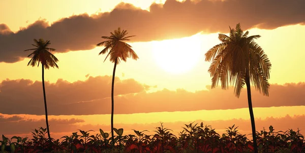 Tropische Landschaft Bei Sonnenuntergang — Stockfoto