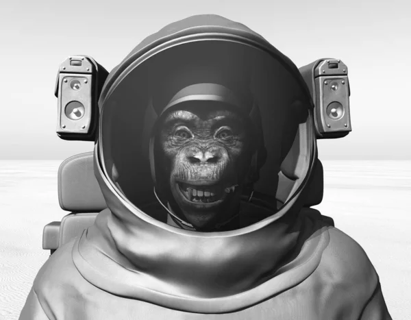 Schimpanse Raumanzug Auf Dem Mars Schwarz Weiß — Stockfoto