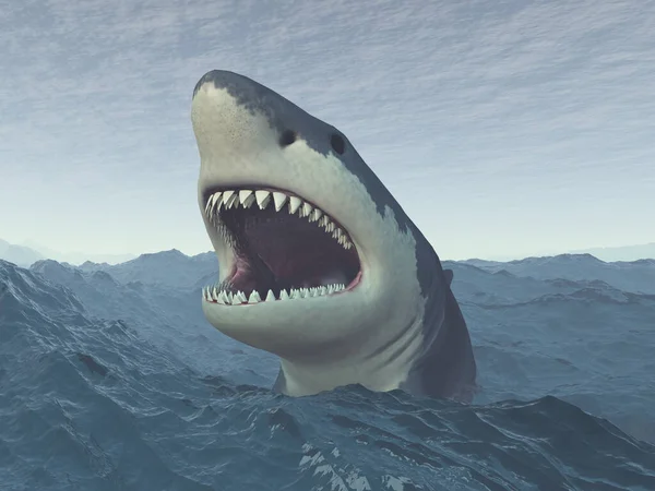 Great White Shark Stormy Sea — Stock Photo, Image