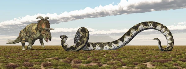 공룡알 베르타 톱스와 노보아 — 스톡 사진