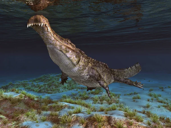 Cocodrilo Prehistórico Sarcosuchus Bajo Agua —  Fotos de Stock