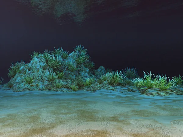 Подводный Пейзаж Кораллами — стоковое фото