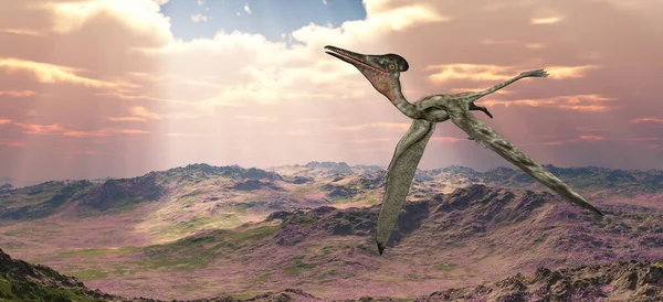 Pterosaur Pterodactylus Çorak Bir Arazide Uçuyor — Stok fotoğraf