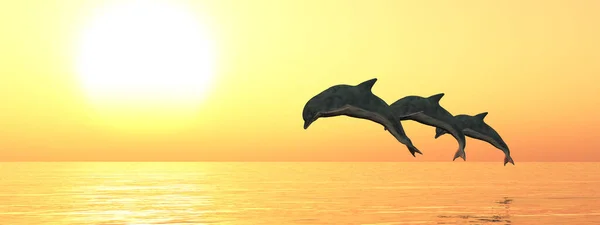 Tre Delfini Che Saltano Tramonto — Foto Stock