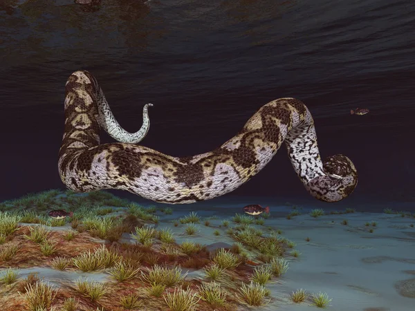 Serpente Gigante Preistorico Titanoboa Sott Acqua — Foto Stock