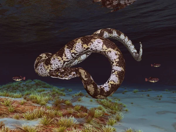 Prehistoryczny Gigant Wąż Titanoboa Pod Wodą — Zdjęcie stockowe