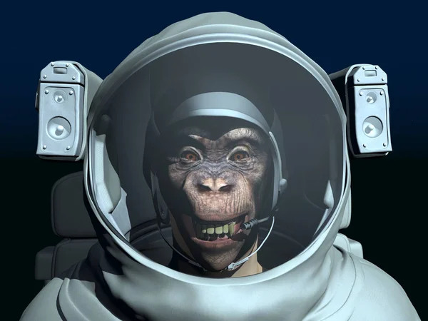 穿宇航服的黑猩猩 — 图库照片