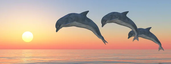 Tre Hoppande Delfiner Vid Solnedgången — Stockfoto