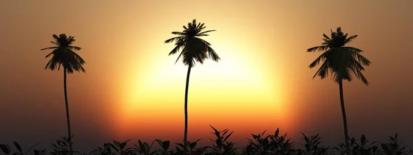 Tropikalny Pejzaż Zachodzie Słońca — Zdjęcie stockowe