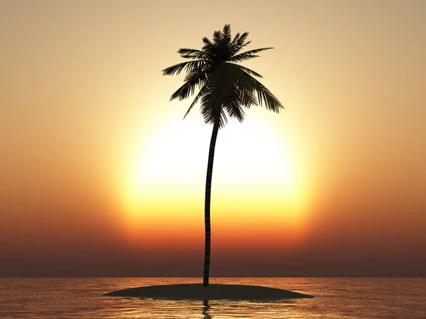 Insel Mit Palme Offenen Meer Bei Sonnenuntergang — Stockfoto