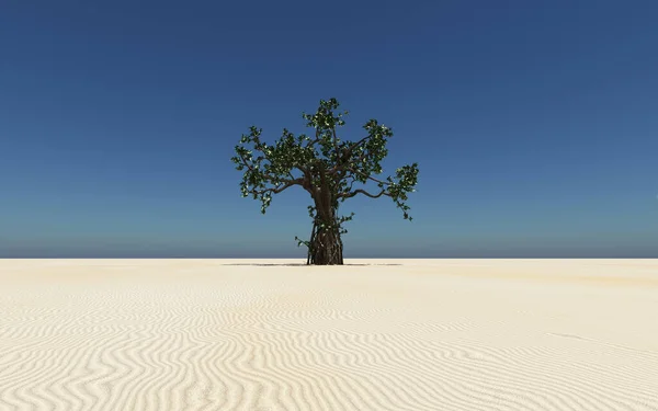 Duże Drzewo Piaskowej Pustyni — Zdjęcie stockowe