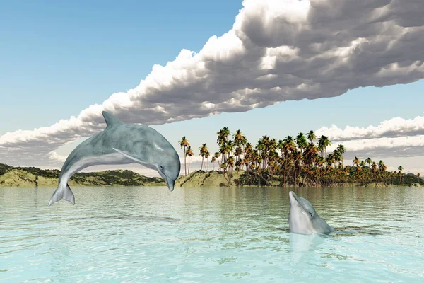 Два Дельфина Прибрежном Пейзаже — стоковое фото