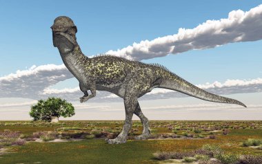 Bir manzarada dinozor Stegoceras